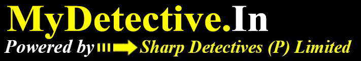 india detectives logo